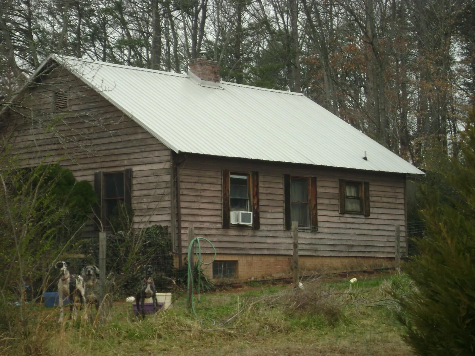 White metal roof on an old wood sided farmhouse, from a Asphalt Shingle Roof Repair job in Deer Island